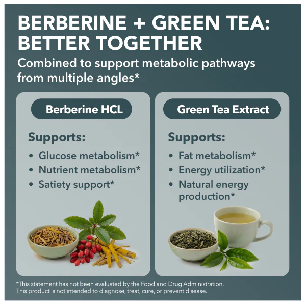 Berberine HCL + Green Tea Extract - Image 4