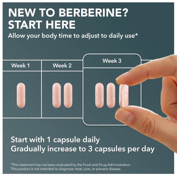 Berberine HCL + Green Tea Extract - Image 5